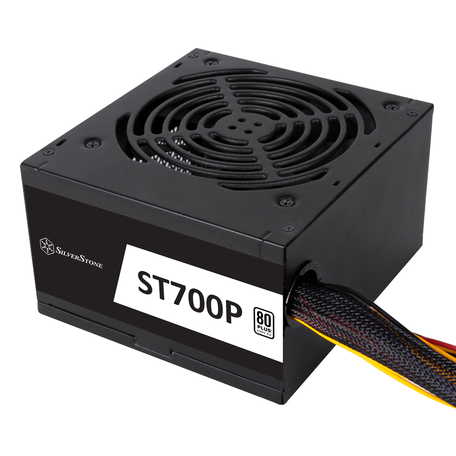 منبع تغذیه سیلوراستون ST700-P — نمای نزدیک 1
