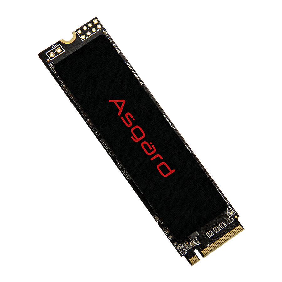 اس اس دی ازگارد AN2 M.2 NVMe ظرفیت 1 ترابایت