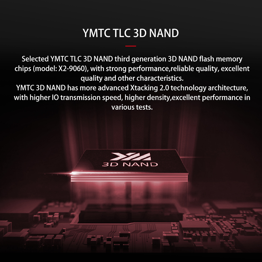 SSD Asgard AN3 M.2 NVMe 512 GB — Close-up 4