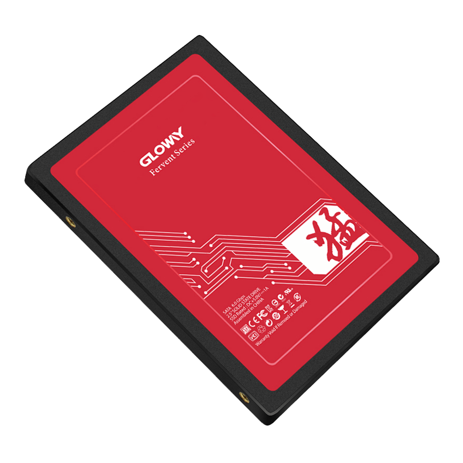 اس اس دی گلووی Fer Series SATA III ظرفیت 120 گیگابایت — نمای نزدیک 2